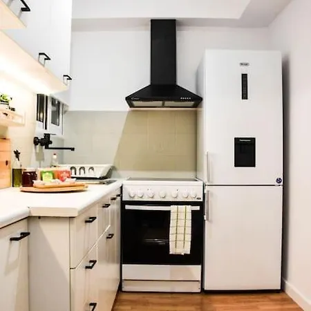 Apartment Newly Renovated-city Center
